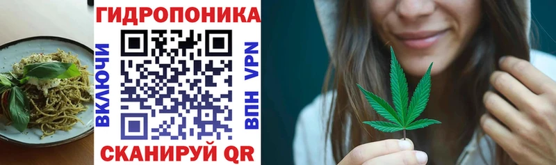 Cannafood конопля  omg зеркало  даркнет Telegram  Плёс 