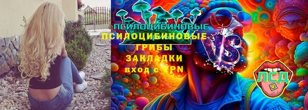 молекула духа Аркадак