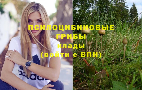 дмт Арсеньев