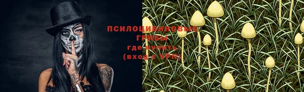 дмт Арсеньев