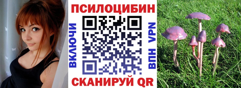 Псилоцибиновые грибы ЛСД  Плёс 
